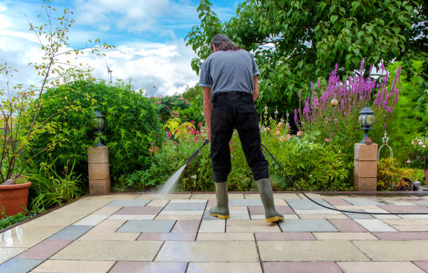 Best Driveway Pressure Washing  in Prince Frederick, MD